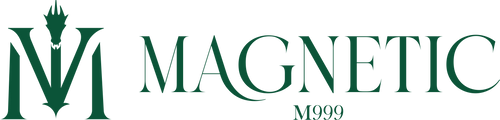 Maison Magnetic