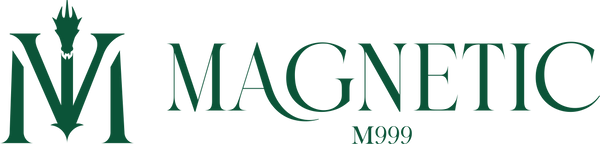 Maison Magnetic